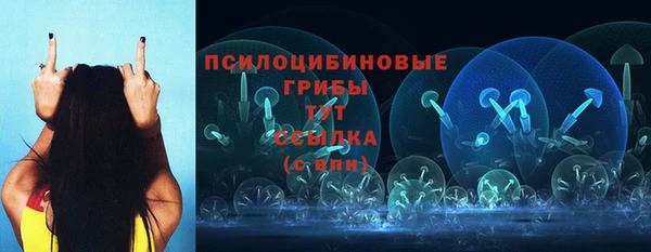 спайс Губаха