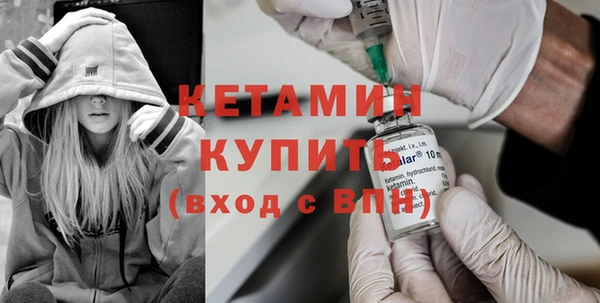 сатива Грязовец