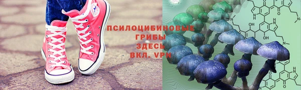 сатива Грязовец