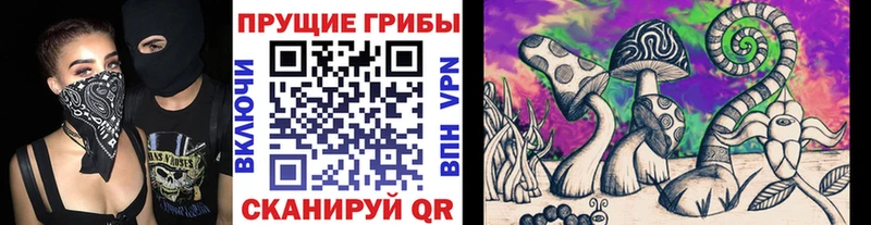 сколько стоит  Унеча  Псилоцибиновые грибы мицелий 